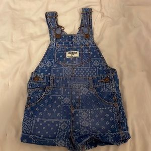 12 month overalls